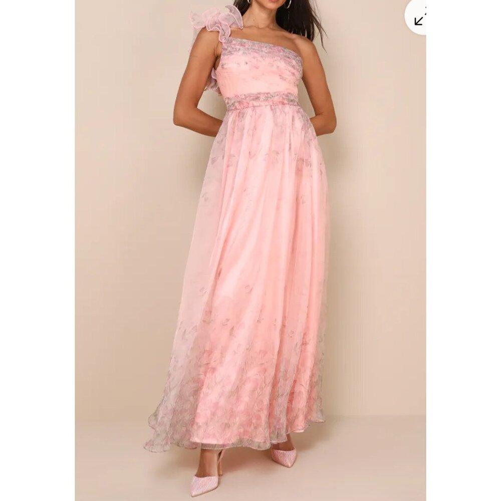 Lulus Decadent dreamer floral organza maxi‎ dress pink sz M